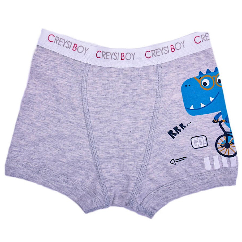 Boxer Baby Creysi gris dinosaurio para niño - JORHELITOS - JORHELITOS